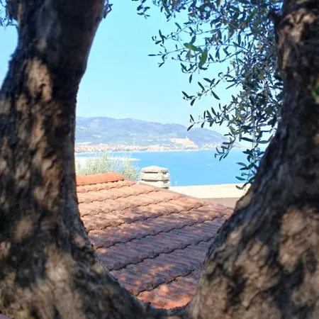 Haus Mizzl * Ντιάνο Μαρίνα